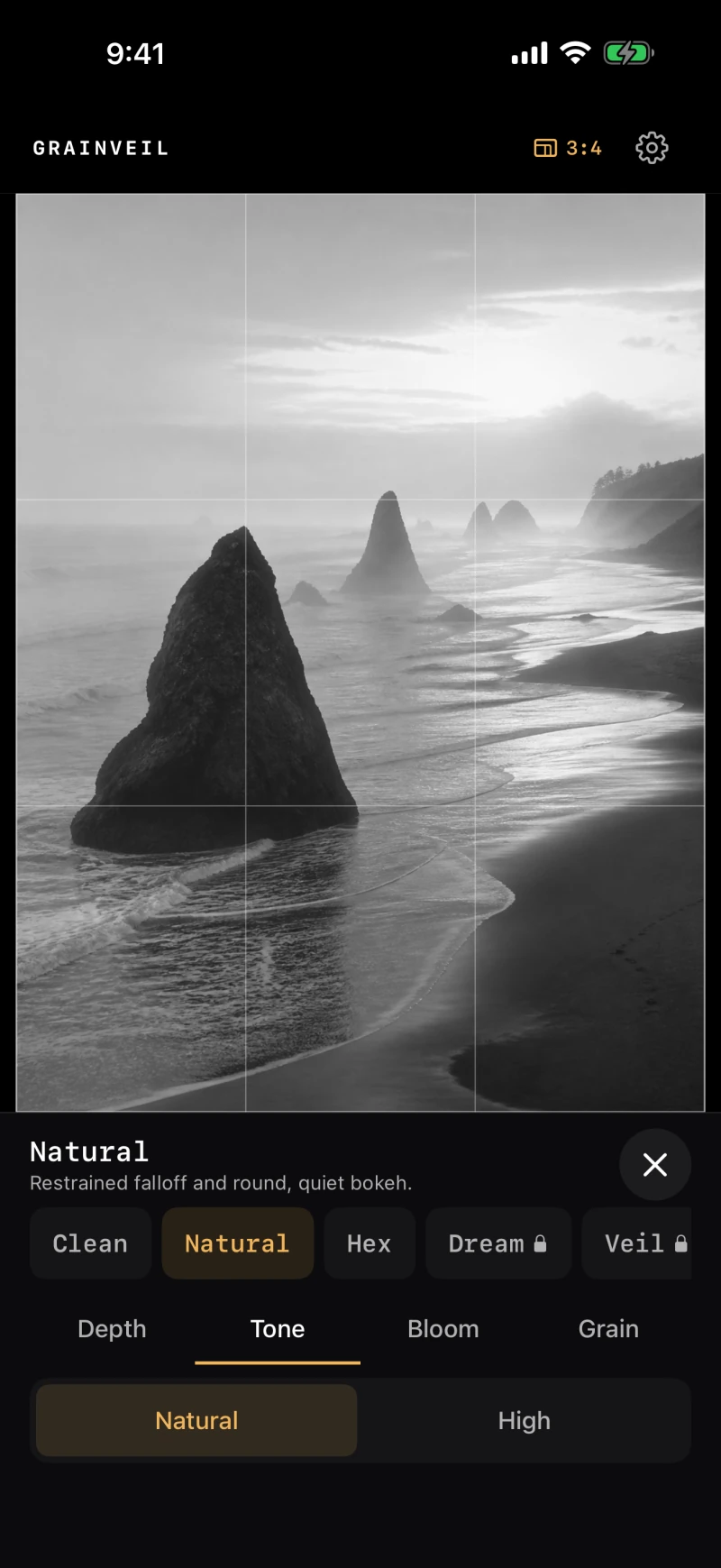 Grainveil’s inline Style panel, with Natural selected and Depth, Tone, Bloom, and Grain controls below the photograph