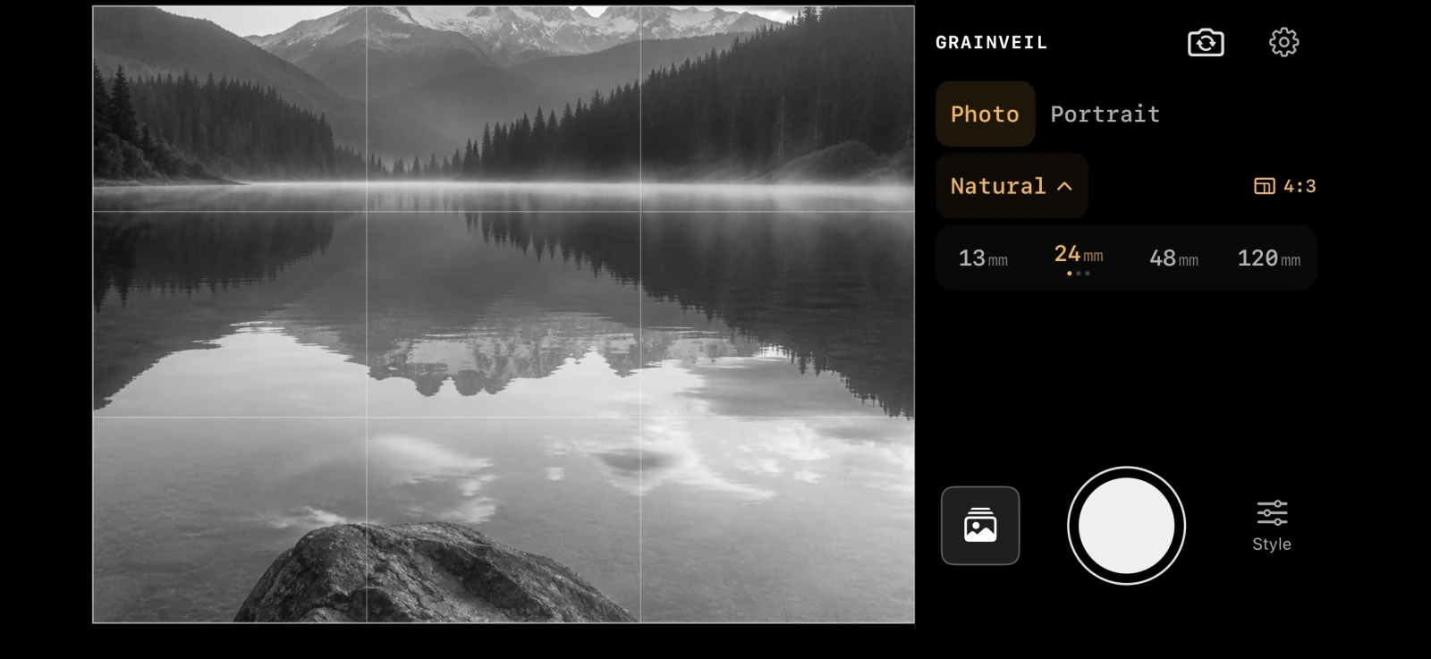 Grainveil’s camera controls arranged beside the photograph in landscape orientation